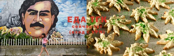 гидра Алексин