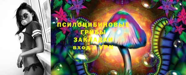 гидра Алексин