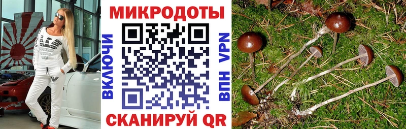 сколько стоит  Кувшиново  МЕГА ссылки  Галлюциногенные грибы Magic Shrooms 