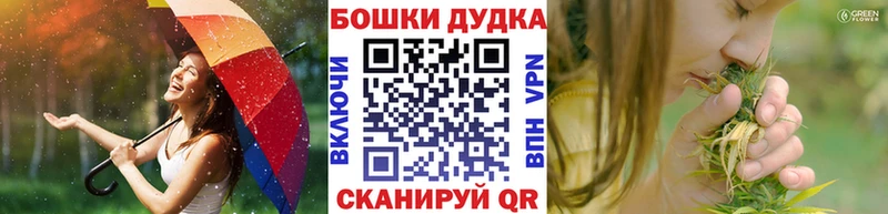 Конопля семена  купить  цена  Кувшиново 